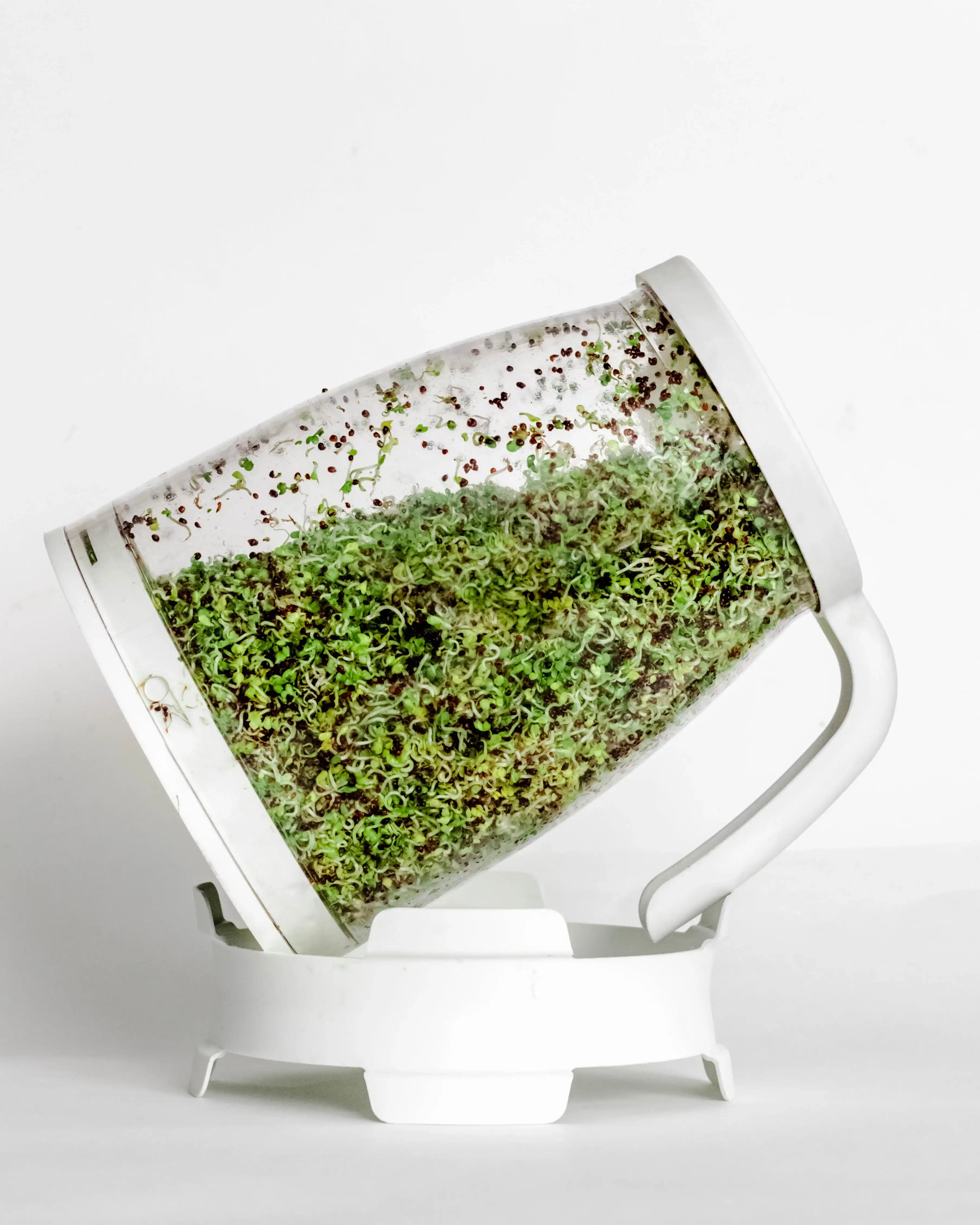 SproutSpout Sprouting Kits & Detox Bundles | Grow Fresh Sprouts at
