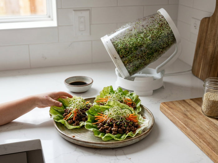Korean Beef & Alfalfa Sprout Lettuce Cups Recipe