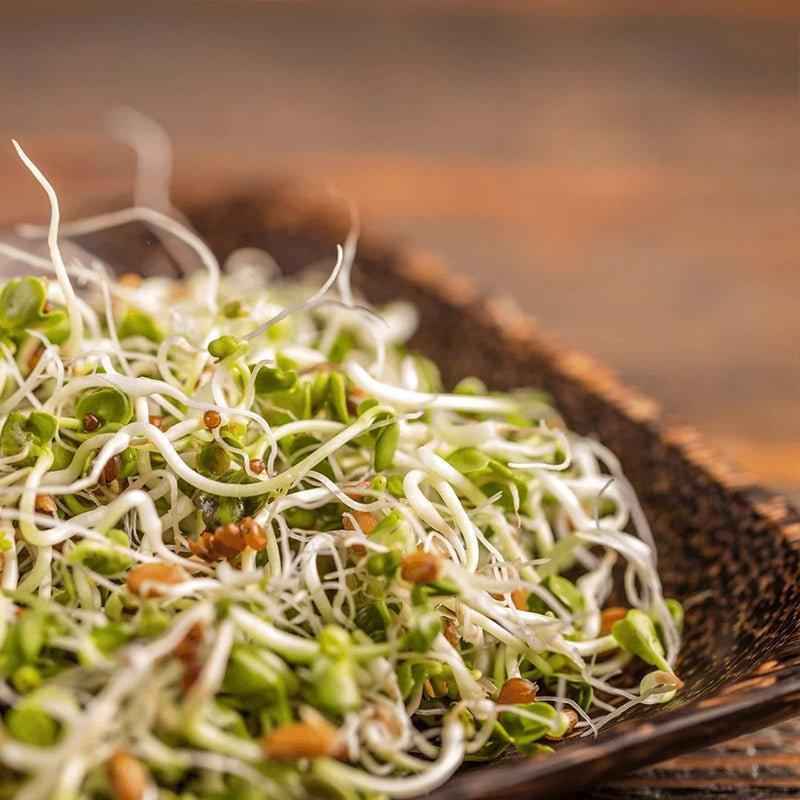Close-up of fresh alfalfa sprouts served in a dark textured coconut bowl.