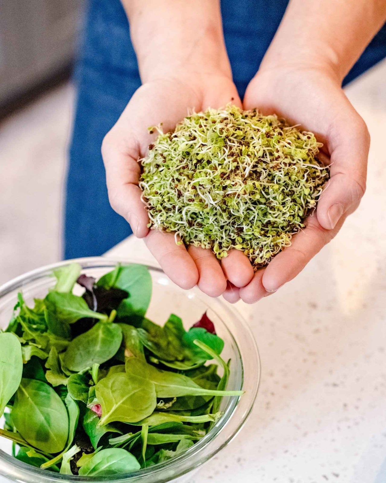 A person holding a handful of fresh broccoli sprouts over a glass bowl of mixed leafy greens.