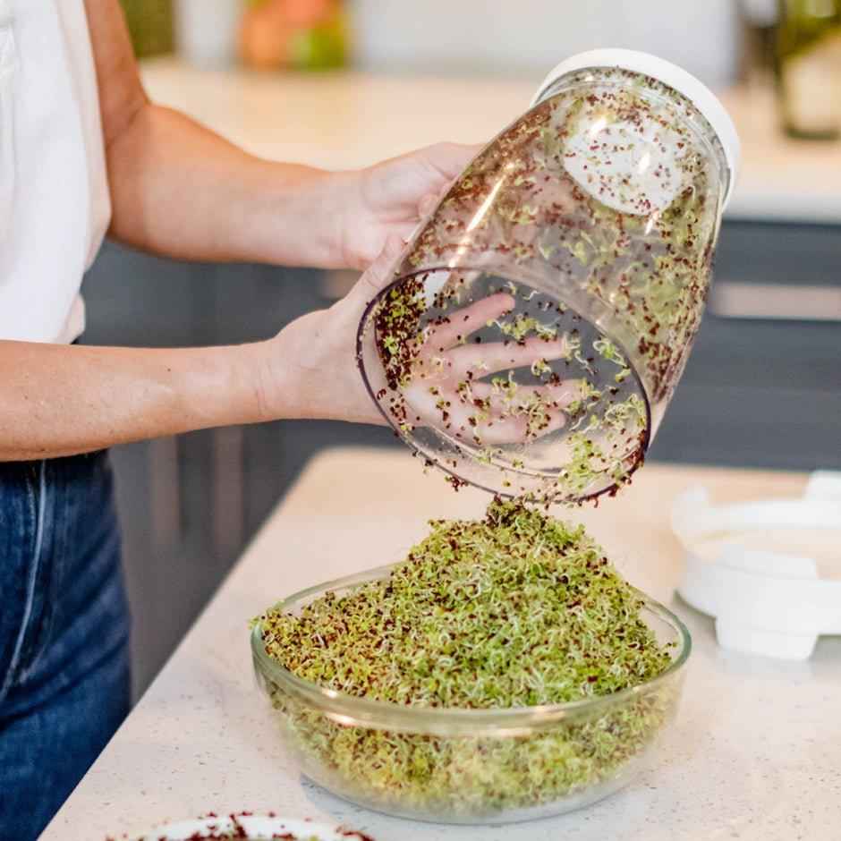 Sprout Spout Seed Sprouter – Easy, Mold-Resistant Microgreen