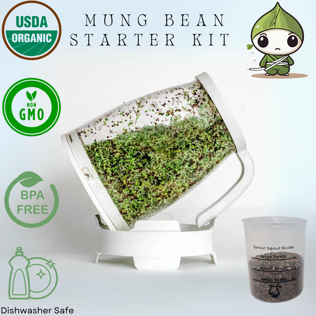 Sprout Spout Mung Bean Starter Kit: 1lb Mung bean seeds + Free Sprout Scoop