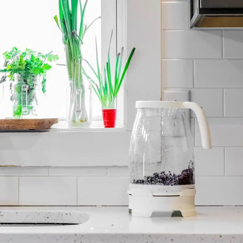 Sprout Spout sprouter with seeds soaking on a white kitchen counter next to a window