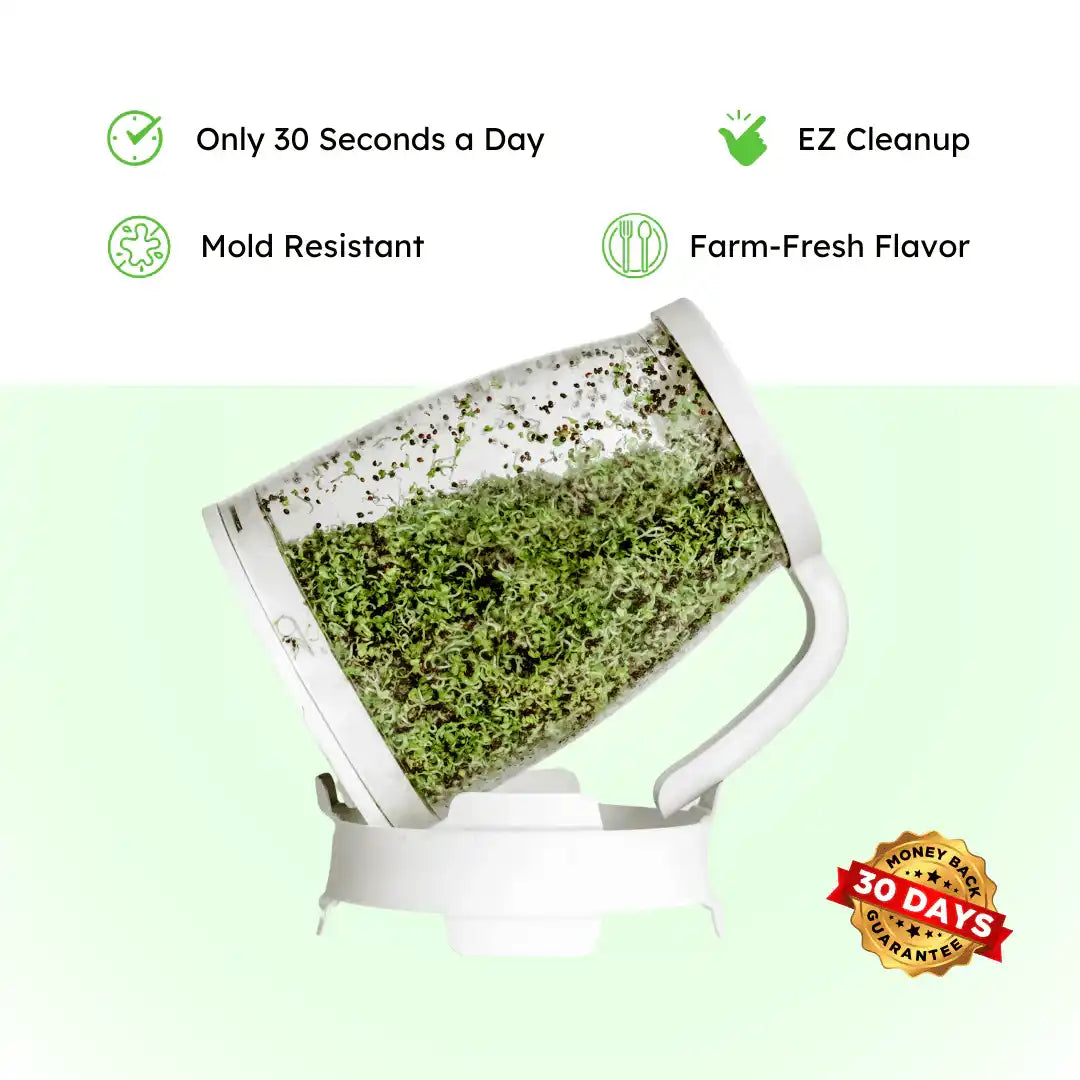 Green sprouts growing inside the Sprout Spout on a white drainage stand with product feature icons.