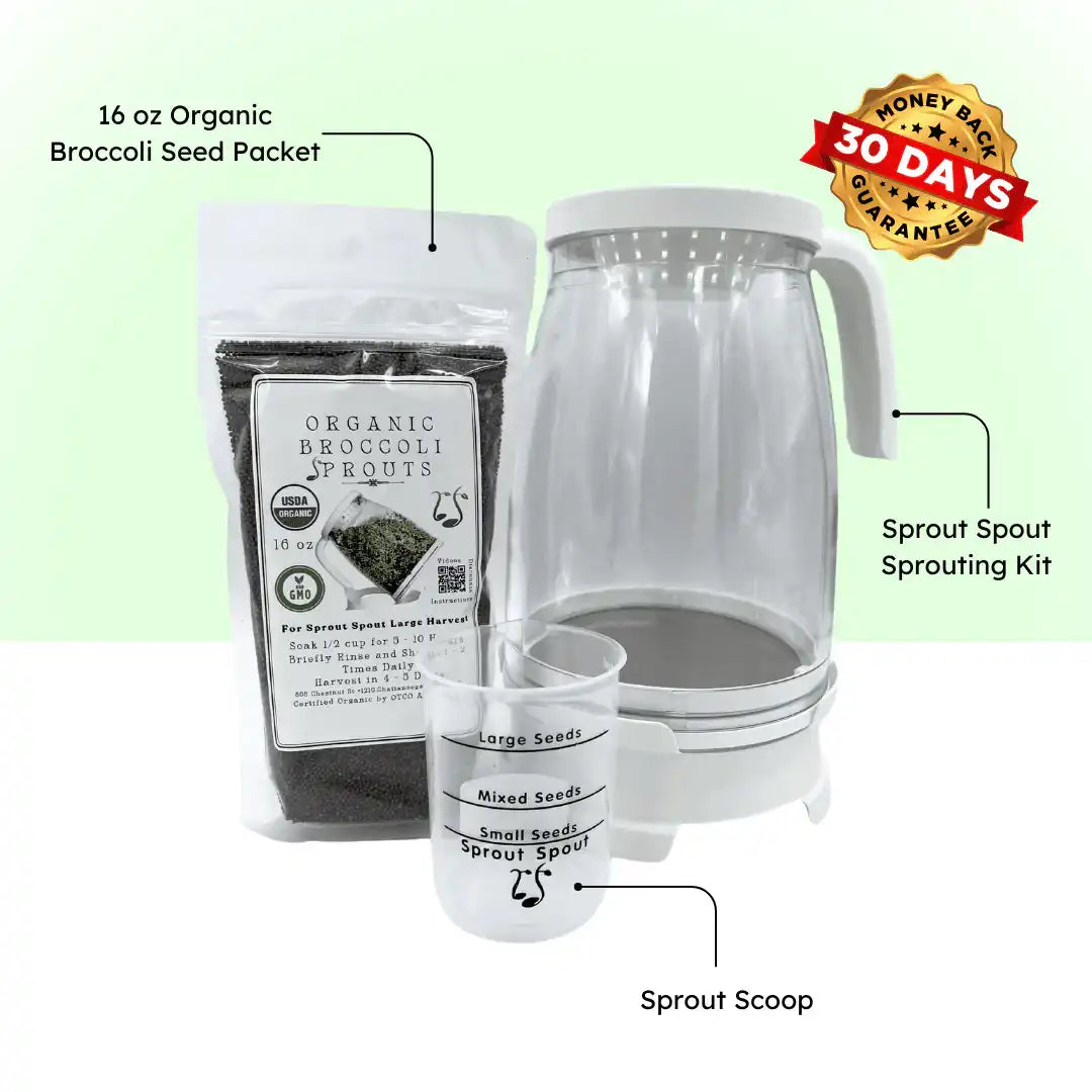 Broccoli Sprout Starter Kit | Sprout Spout + Organic Broccoli