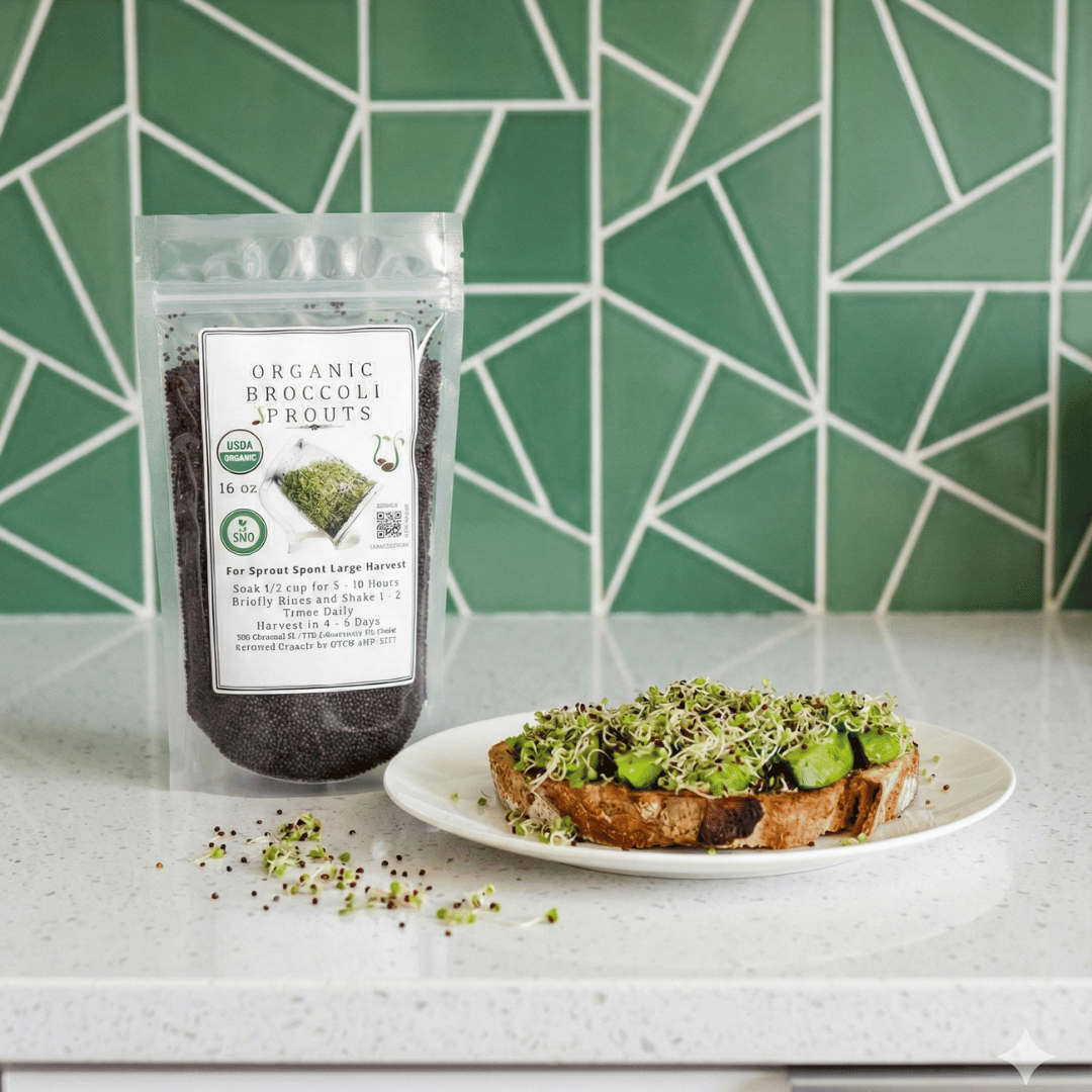 Organic Broccoli Sprouting Seeds