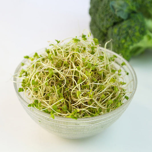 Broccoli - Sprouting Organic