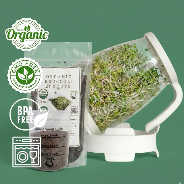 Free Guide to Growing Sprouts at Home – Sprout Spout