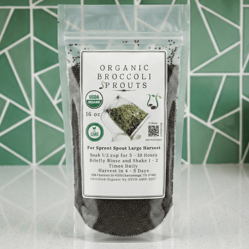 Packaged organic broccoli sprouts with a label on a green geometric patterned background