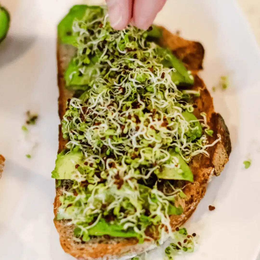 fresh broccoli sprouts being topped on avocado toast