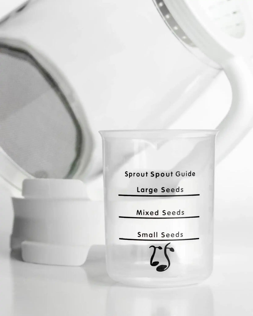 Broccoli Sprout Starter Kit | Sprout Spout + Organic Broccoli Seeds ...