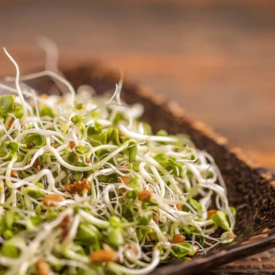fresh sprouts in a wooden bowl