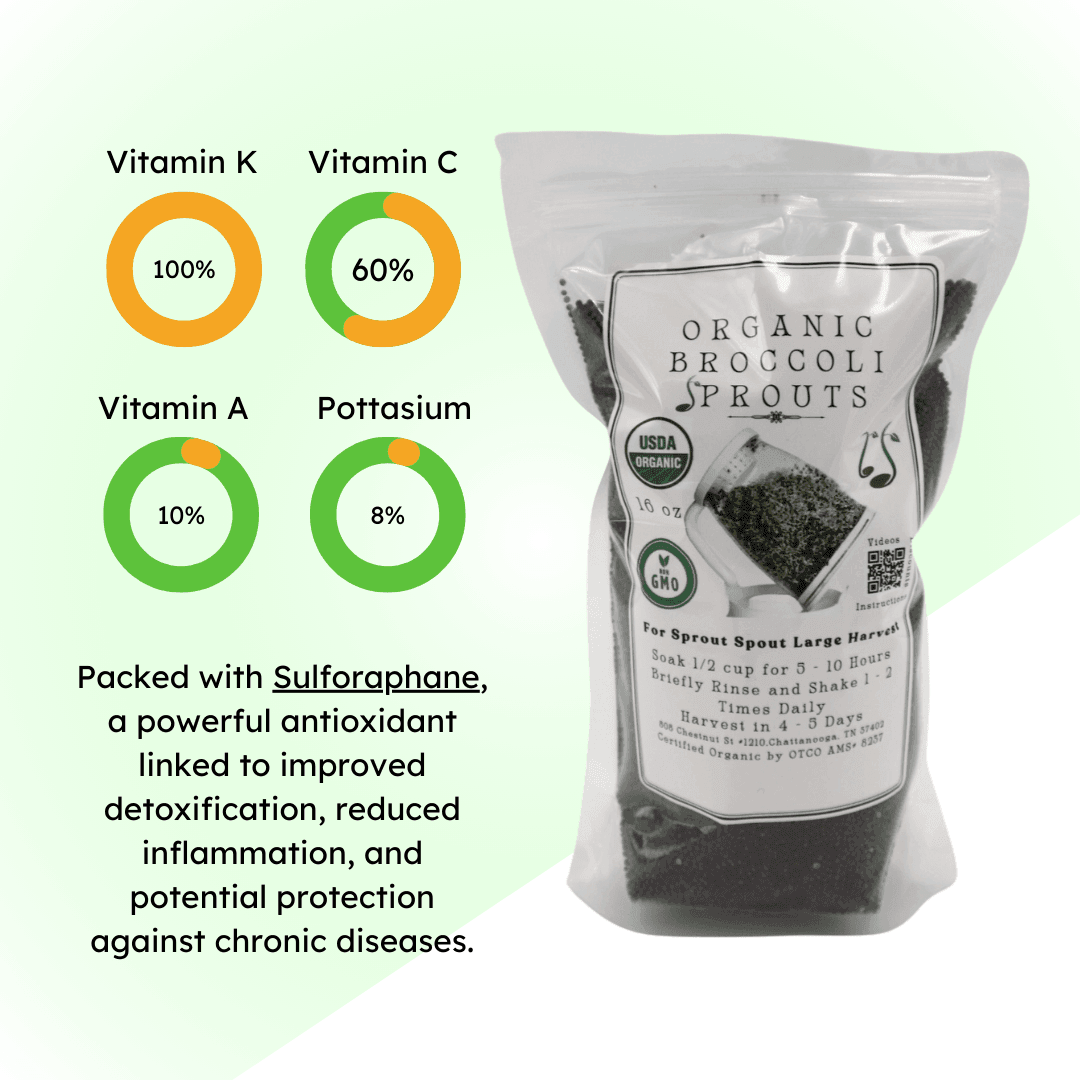 organic broccoli sprouting seeds in a 16 oz bag with a nutritional infographic for vitamins K, C, A, and potassium