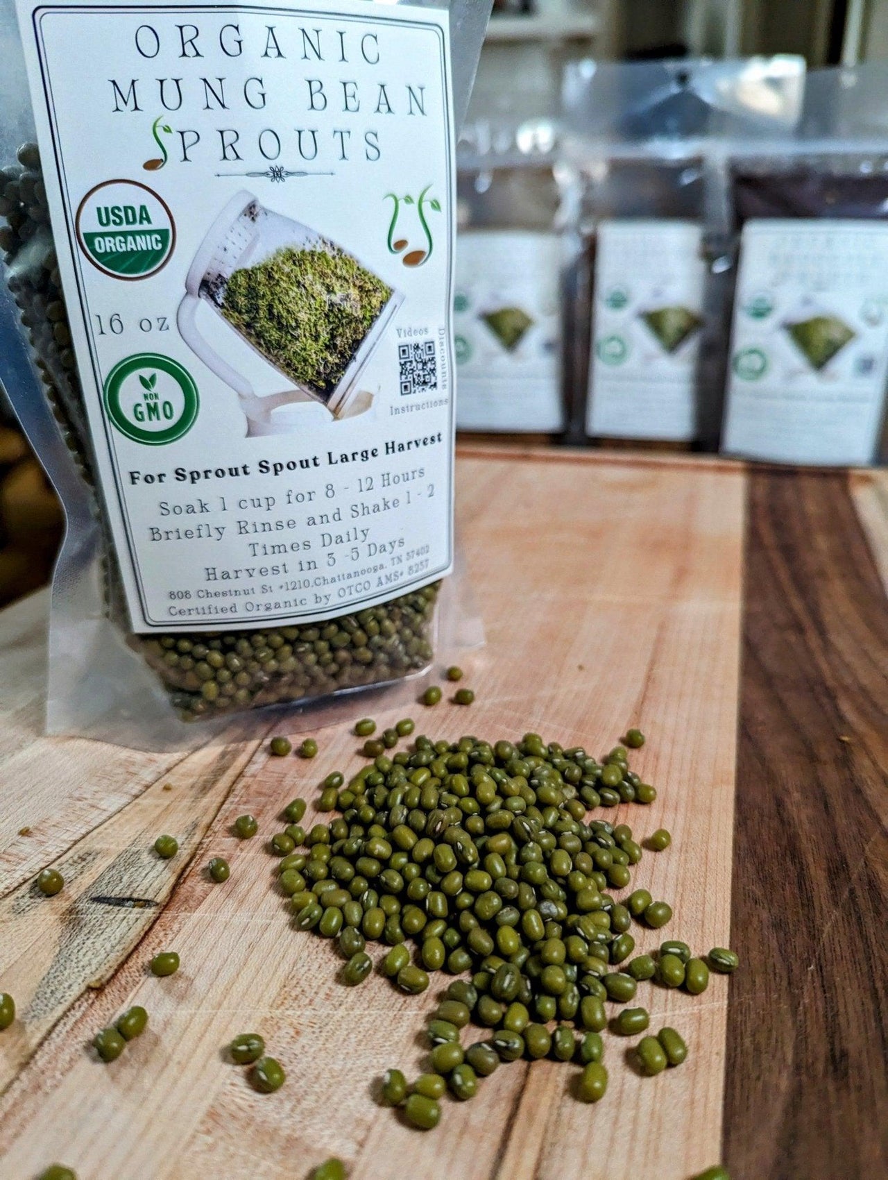 Organic Mung Bean Sprouting Seeds - Sprout Spout