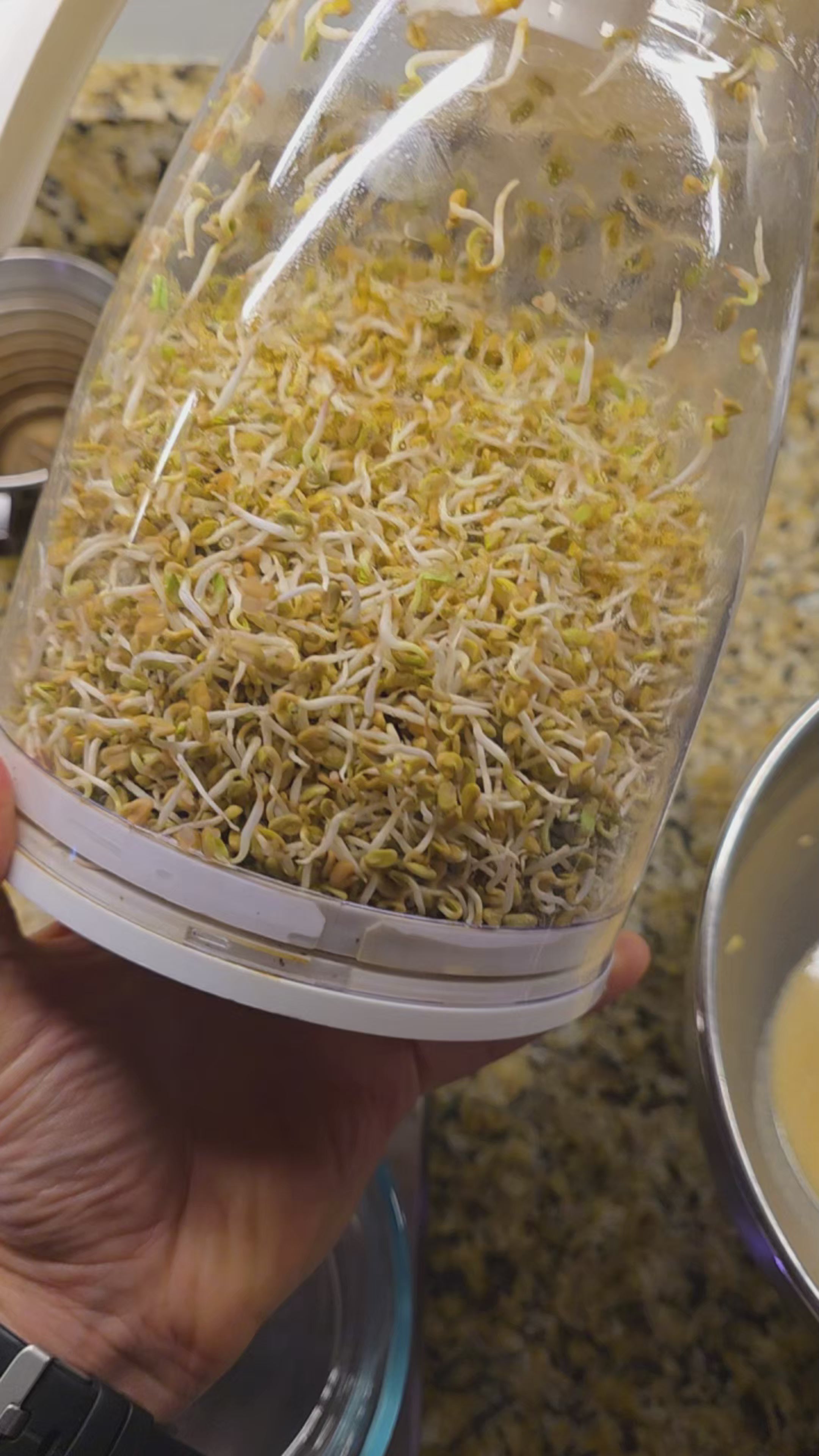 Sprout Spout Fenugreek Starter Kit: Sprout Spout + 4oz or 1lb seeds + Free Sprout Scoop