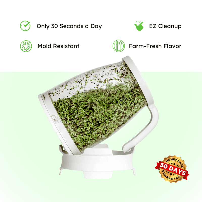 broccoli sprouts growing in the Sprout Spout with feature icons for easy cleanup and mold resistance